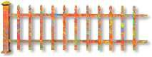 1-C Multi-colored Variation
