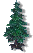 Assembled Pine Tree