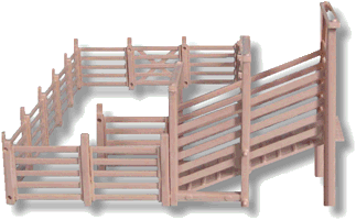 Cattle Loading Pen Right Side View