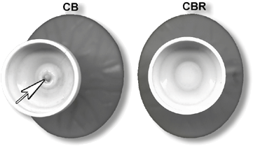 The bottom views of the two versions of the bird bath