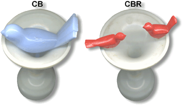 The top views of the two versions of the bird bath