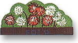 Click on the picture to see all three flowers