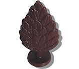Brown Shrub