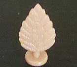 Dark Buff Shrub