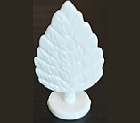 White Shrub