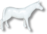 White Horse