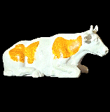 White & Brown Sitting Cow