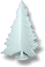 White Spruce Tree