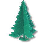 Spruce Tree